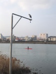 학부모 예행연습