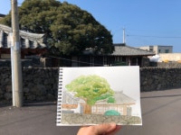 어반스케치 - 제주 신촌향사