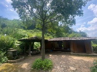 12화 Check in : 영월 산골초가 민박