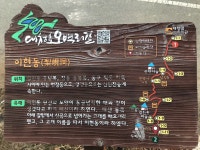 대청호 오백리길 1구간 + 캠핑 + 온천