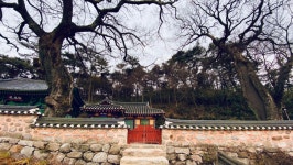 새만금 동서도로, 망해사
