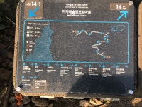 올레길 14-1 코스> 저지 ~ 무릉 올레 어반스케치