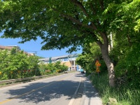 아침길 #2