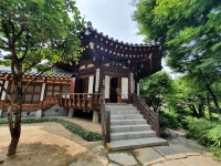07화 쿠팡, 샐러드, 여행의 맛