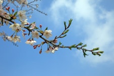 녹산로를 아세요?