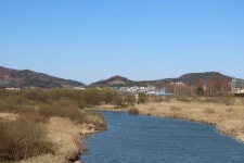 광주 황룡강 장록습지 생태탐방