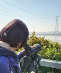 대부도 대송 습지 철새 탐조
