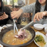 대부도 대송 습지 철새 탐조