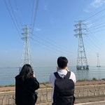 대부도 대송 습지 철새 탐조
