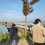 대부도 대송 습지 철새 탐조