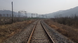 14화 곡성 섬진강길