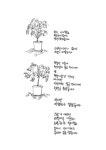 드로잉 에세이 9