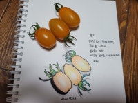 1일 1드로잉,1시