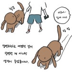 당연하다고 생각했던 것