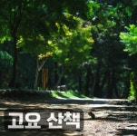 고요 산책