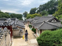 안동하세요