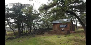 <숲속의 작은 집>에 열광하는 세 가지 이유
