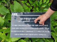 천리포 수목원에서의 하루