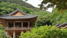 세상을 띄어보자... 부석사 1