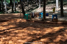 카메라 둘러메고 동네 한 바퀴