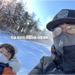 바동바동 동해시 아이캠퍼 차박캠핑 준비기