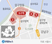서울시 신속통합기획 제대로 살펴보기