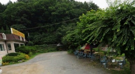 춤추는 별이 되다(버들이)
