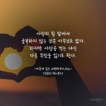 날개가 달린 사랑