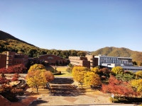 06화 문화 기획을 하며 생긴 마음의 변화