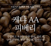 케냐 피베리 AA - 스페셜티 커피로스팅 카페알트로