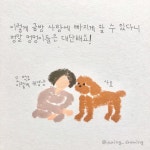 아무래도 사랑은 강아지모양 같아