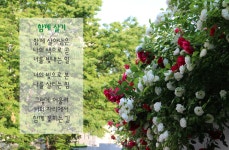 함께 살기