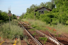 양귀비꽃과 기찻길