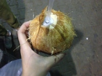 코스타리카 시장 Feria