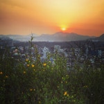 틈틈이,서울-34,