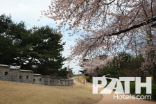 수원에서 즐기는 느림의 미학 #1