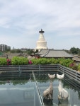 루쉰(鲁迅) 박물관과 길 위의 희망