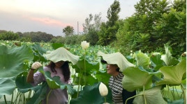 도시에서 시골로, 3년간의 귀농정착이야기