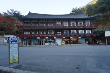구인사 가는 황홀경 길