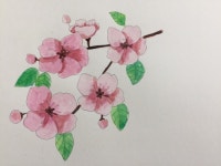 <1일 1 그림> 따라 그리기