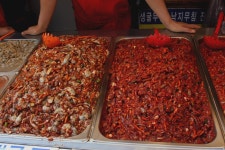 퍼덕과 낭만의 인생 경기장 소래포구