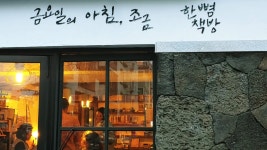 제주 종달리의 바다 그리고 길고양이