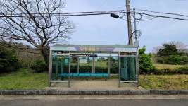 나는 왜 이 길에 서 있나