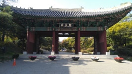 버려진 궁, 경희궁을 걸으며