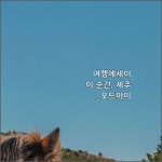 오드아이