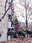 개포주공 3단지 (3)