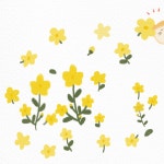 풀꽃 산책