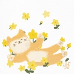 풀꽃 산책