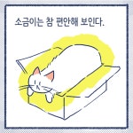 이야기7: 소금이를 이해해보자