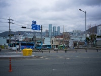 비 오는 날의 산책